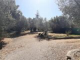 Terrain à bâtir à Flayosc (83780) 2638267-10295annonce320260917y1RGu.jpeg Maisons France Confort
