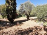 Terrain à bâtir à Flayosc (83780) 2638267-10295annonce420260917XocGs.jpeg Maisons France Confort