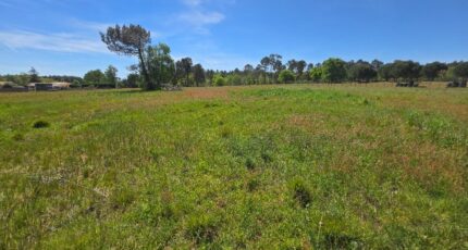 Saint-Savin Terrain à bâtir - 2637747-11516annonce120260917lLwLJ.jpeg Maisons France Confort