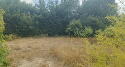Nages-et-Solorgues Maison neuve - 2637978-11833annonce220260917Po3IG.jpeg Maisons France Confort