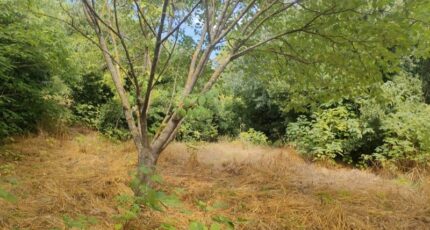 Nages-et-Solorgues Maison neuve - 2637978-11833annonce320260917NfN9X.jpeg Maisons France Confort