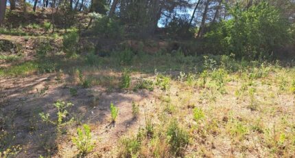 Peynier Maison neuve - 2638484-11041annonce520260917MquG1.jpeg Maisons France Confort