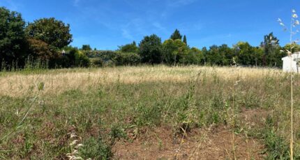 Campsas Terrain à bâtir - 2636105-11913annonce320260916n8eBE.jpeg Maisons France Confort