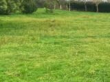 Terrain à bâtir à Bourg (33710) 2597877-11516annonce120260806uR1Lz.jpeg Maisons France Confort