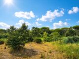 Terrain à bâtir à Fréjus (83600) 2638740-3701annonce120260917yCFxm.jpeg Maisons France Confort