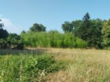 Maison à construire à Saint-Raphaël (83700) 2638739-11157annonce320260909CUfID.jpeg Maisons France Confort