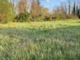 Maison à construire à Landiras (33720) 2634209-11958annonce120260915yDt4y.jpeg Maisons France Confort