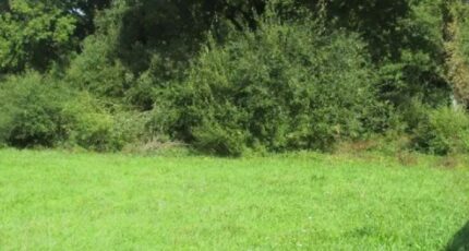 Vairé Terrain à bâtir - 2638209-11931annonce120260917uMZHv.jpeg Maisons France Confort