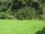 Maison à construire à Vairé (85150) 2638285-11931annonce120260917uMZHv.jpeg Maisons France Confort