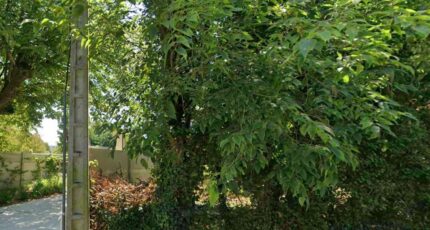 Le Bouscat Terrain à bâtir - 2545791-11382annonce1202606129pf9d.jpeg Maisons France Confort
