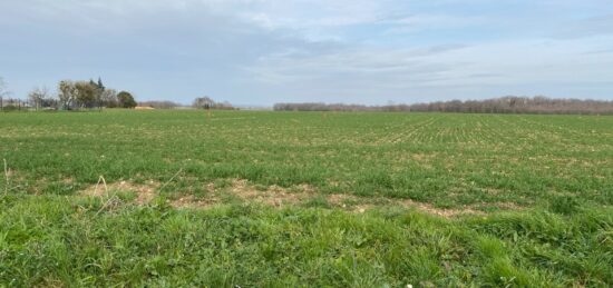 Terrain à bâtir à , Charente-Maritime