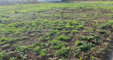 Le Thou Maison neuve - 2581811-11194annonce220260713mBVL2.jpeg Maisons France Confort