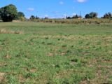 Terrain à bâtir à Montendre (17130) 2638712-11959annonce120260917ZLi7T.jpeg Maisons France Confort