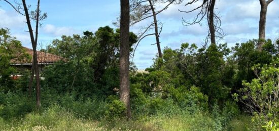 Terrain à bâtir à Lège-Cap-Ferret, Nouvelle-Aquitaine