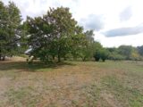 Maison à construire à Nersac (16440) 2640350-11793annonce120260919ZH4Cc.jpeg Maisons France Confort