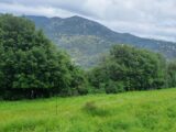 Terrain à bâtir à Carros (06510) 2640428-10316annonce320260919hQJZM.jpeg Maisons France Confort