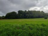 Terrain à bâtir à Daignac (33420) 2556298-11266annonce1202602268wQh9.jpeg Maisons France Confort