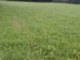 Maison à construire à Saint-Riquier (80135) 2639681-11934annonce120260914P2TTD.jpeg Maisons France Confort