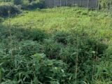 Maison à construire à Rue (80120) 2639636-11934annonce120260916Vhz5W.jpeg Maisons France Confort
