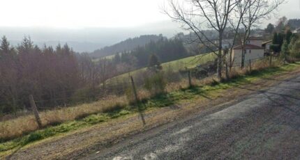 Saint-Ferréol-d'Auroure Terrain à bâtir - 2579810-3484annonce32026071066SzD.jpeg Maisons France Confort