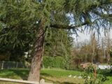 Maison à construire à Charbonnières-les-Bains (69260) 2641131-11941annonce120260921RKcrh.jpeg Maisons France Confort