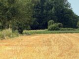 Maison à construire à Villers-sur-Authie (80120) 2641693-11934annonce120260921uNKPN.jpeg Maisons France Confort