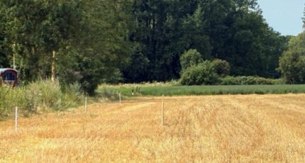 Villers-sur-Authie Maison neuve - 2641748-11934annonce320260921EwUEu.jpeg Maisons France Confort