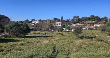 Roquebrune-sur-Argens Maison neuve - 2641880-5163annonce120260831McewT.jpeg Maisons France Confort
