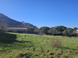 Maison à construire à Roquebrune-sur-Argens (83520) 2641885-5163annonce320260831AF5sT.jpeg Maisons France Confort