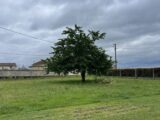 Maison à construire à Martres (33760) 2548674-9573annonce220260615ktZSx.jpeg Maisons France Confort