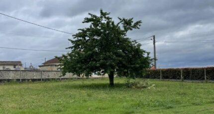 Martres Maison neuve - 2548687-9573annonce220260615ktZSx.jpeg Maisons France Confort