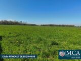 Terrain à bâtir à Onard (40380) 2600415-5828annonce120260325pMcyZ.jpeg Maisons France Confort