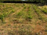 Terrain à bâtir à Lormont (33310) 2578285-11383annonce120260708ENLgF.jpeg Maisons France Confort