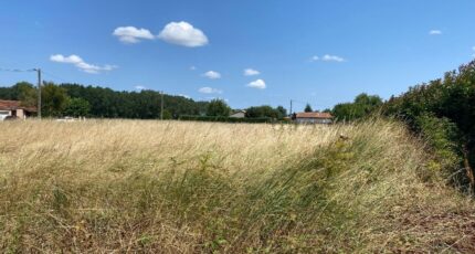 Savenès Terrain à bâtir - 2639478-11913annonce320260918QKTVI.jpeg Maisons France Confort
