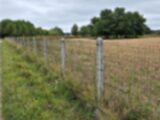 Maison à construire à Cézac (33620) 2642346-11516annonce120260921TTHEm.jpeg Maisons France Confort