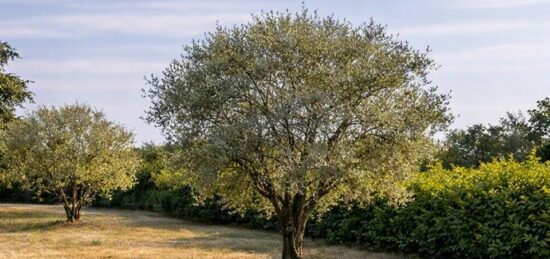 Terrain à bâtir à , Gironde