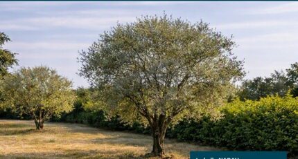 Saint-Laurent-d'Arce Maison neuve - 2642122-11516annonce220260921gSybI.jpeg Maisons France Confort