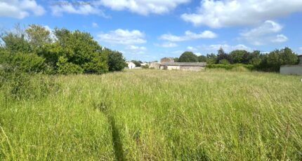 Forges Maison neuve - 2643056-9644annonce120260921X6VSM.jpeg Maisons France Confort