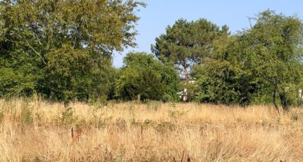 Le Taillan-Médoc Maison neuve - 2643333-11280annonce120260922MitFT.jpeg Maisons France Confort