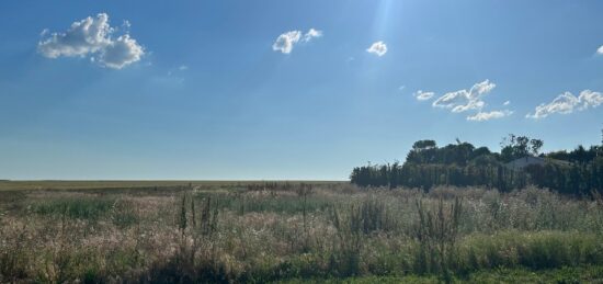 Terrain à bâtir à , Charente-Maritime