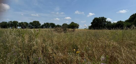 Terrain à bâtir à Vérargues, Occitanie