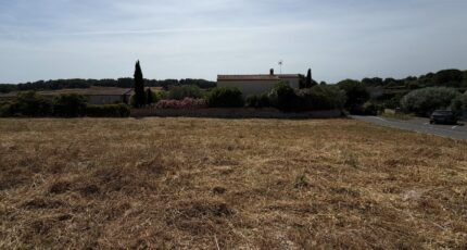 Mus Terrain à bâtir - 2551595-11455annonce120260616erVQw.jpeg Maisons France Confort