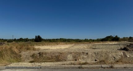 Loupian Terrain à bâtir - 2559911-11455annonce120260622FSiOB.jpeg Maisons France Confort