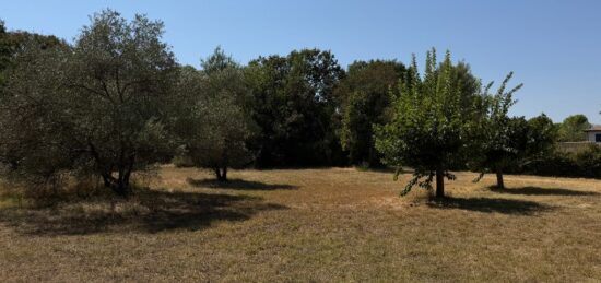 Terrain à bâtir à Saint-Jean-de-Cornies, Occitanie