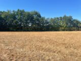 Terrain à bâtir à Lalbenque (46230) 2642909-11281annonce220260921tBFX0.jpeg Maisons France Confort