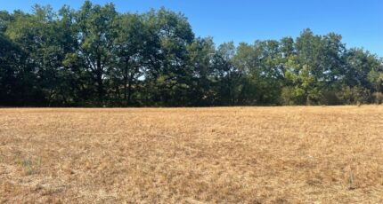 Lalbenque Terrain à bâtir - 2642909-11281annonce220260921tBFX0.jpeg Maisons France Confort