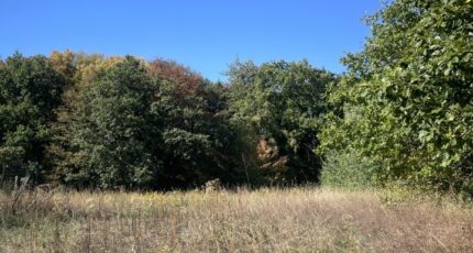 Boust Terrain à bâtir - 2644552-7264annonce120260922ONn3W.jpeg Maisons France Confort