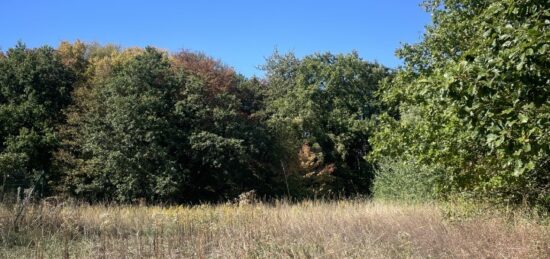 Terrain à bâtir à Boust, Grand Est
