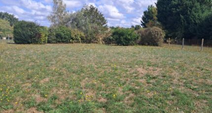 Jonzac Maison neuve - 2644545-11959annonce120260922pFIOu.jpeg Maisons France Confort