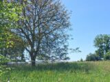 Maison à construire à Argoules (80120) 2643975-11934annonce120260922FhPTq.jpeg Maisons France Confort